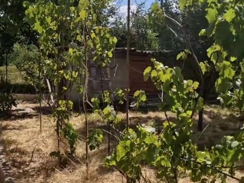 будинок за адресою Державності вул., 38
