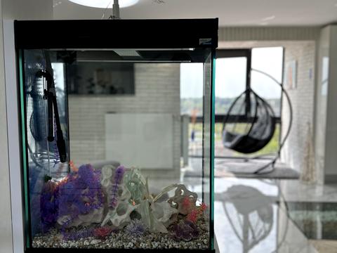квартира по адресу Водогонная ул., 2-A
