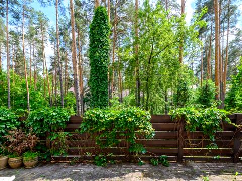 дом по адресу Лесі Українки