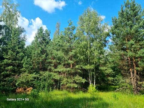 ділянка за адресою Сосновая