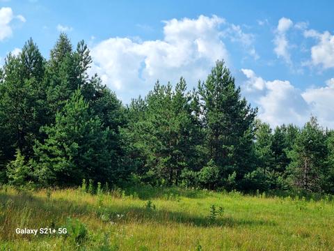 ділянка за адресою Сосновая