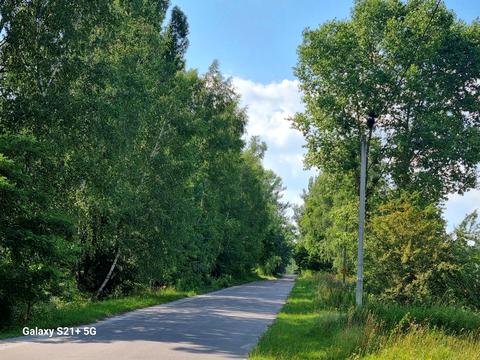 ділянка за адресою Сосновая