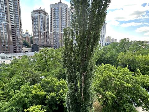 квартира по адресу Чмелів Яр ул. (Трудовая), 7-А
