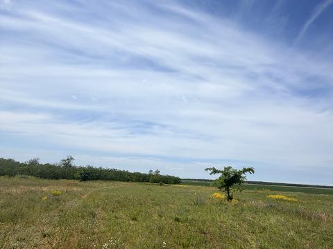 ділянка за адресою Комінтерна