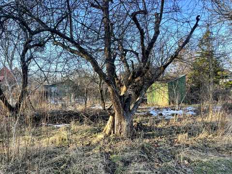 будинок за адресою садова 25