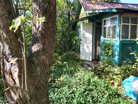 будинок за адресою садова 25
