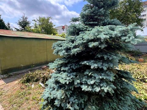 дом по адресу Миколы Хвылёвого ул., 21