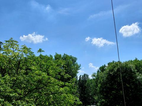 квартира за адресою Білецька вул., 17