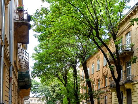 квартира по адресу Академика Богомольца ул., 8