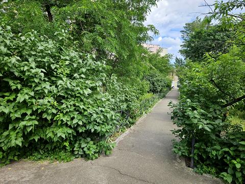 квартира за адресою Петра Григоренка просп., 38а