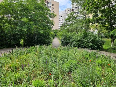квартира за адресою Петра Григоренка просп., 38а