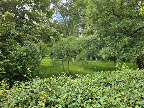 квартира за адресою Петра Григоренка просп., 38а