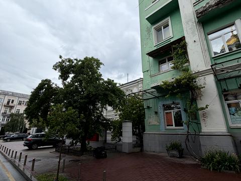 комерційна за адресою Леонтовича вул., 6-А