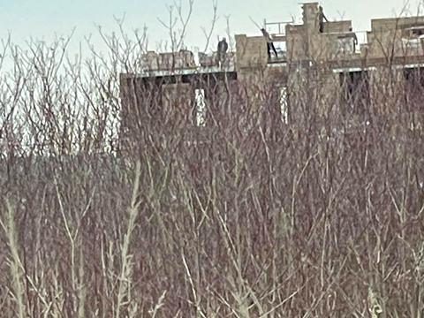 квартира за адресою Володимира Мономаха вул., 1а