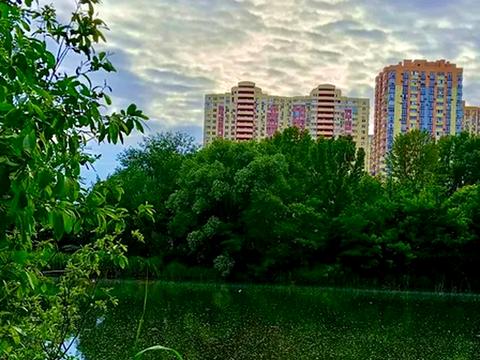 квартира по адресу Семьи Кульженков ул. (Дегтяренко Петра), 33