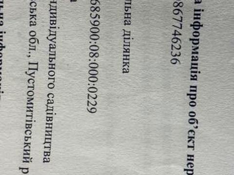 1867695704738560.jpg