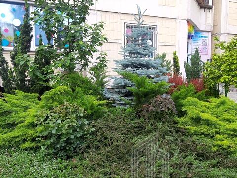 квартира по адресу Юлии Здановской ул. (Ломоносова), 83-А