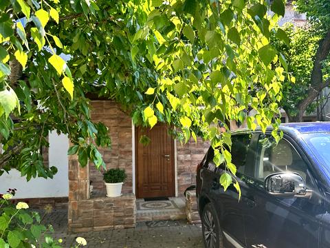 будинок за адресою Леся Курбаса вул. (Петрашевського), 72