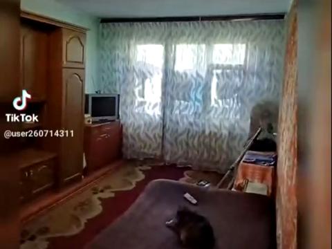 квартира за адресою Житомир, Святослава Ріхтера вул., 64/29