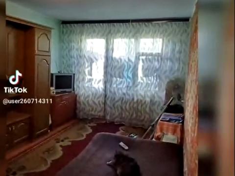 квартира за адресою Житомир, Святослава Ріхтера вул., 64/29