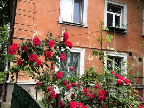 квартира за адресою Овідіопольська дорога вул., 3/4