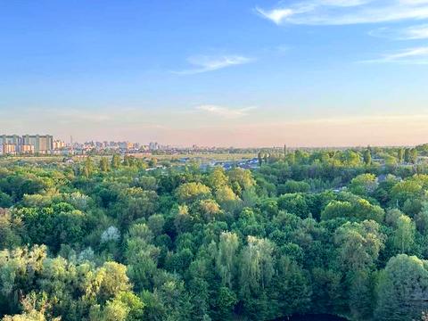 квартира по адресу Кадетский Гай ул., 10