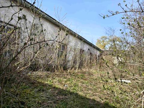 коммерческая по адресу с. Великие Дедеркалы, вул. шевченка, 24