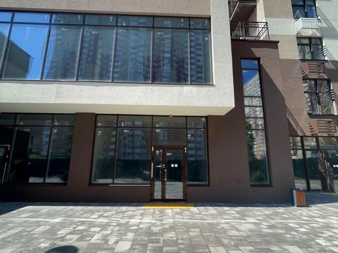 коммерческая по адресу Олександра Олеся ул., 1