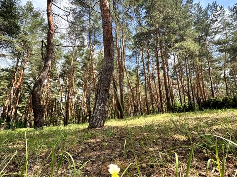 ділянка за адресою Сосновий берег
