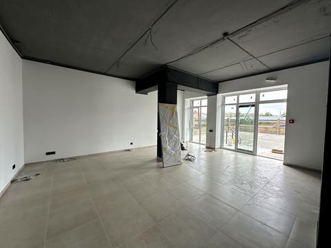 комерційна за адресою Карпенка-Карого вул., 7а