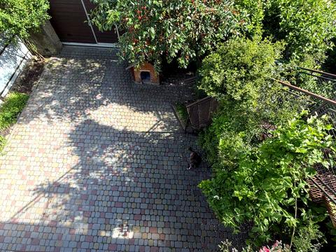 дом по адресу Папоротная ул., 28