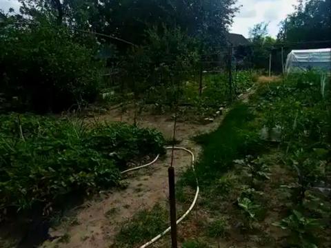 будинок за адресою Марії Приймаченко