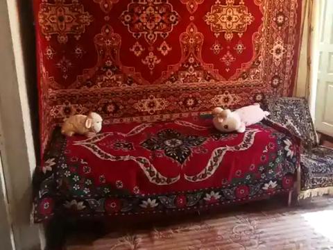 будинок за адресою Марії Приймаченко