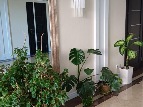 квартира за адресою Академіка Сахарова вул., (30 перлина)