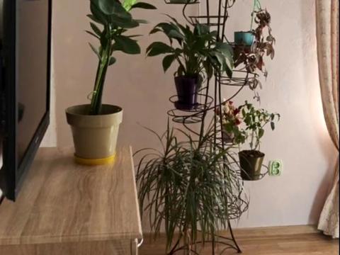 квартира по адресу Евгения Чикаленко ул., 59б