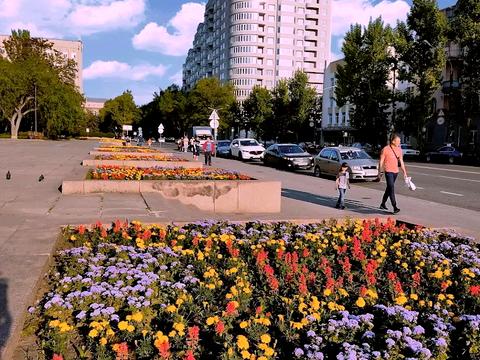 квартира за адресою Миколаїв, Адміральська вул., 31-Б