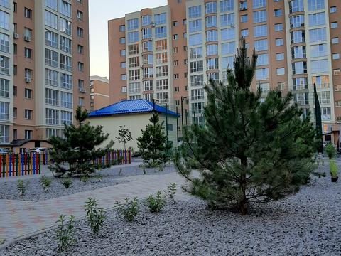 квартира за адресою Героїв Небесної Сотні просп., 26/14