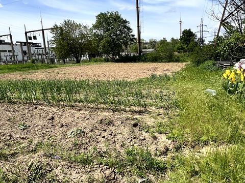 будинок за адресою Чернігів, Кривоноса вул., З5