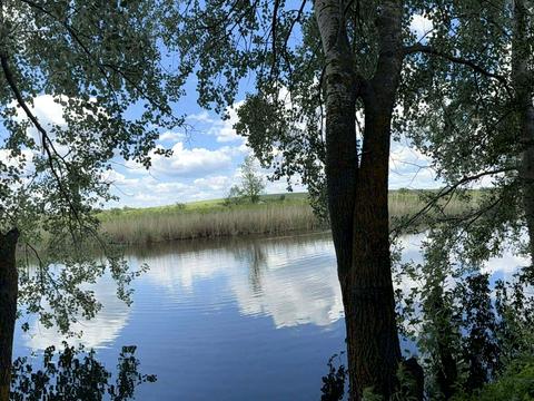 будинок за адресою смт. Кринички, Шевченко, 10