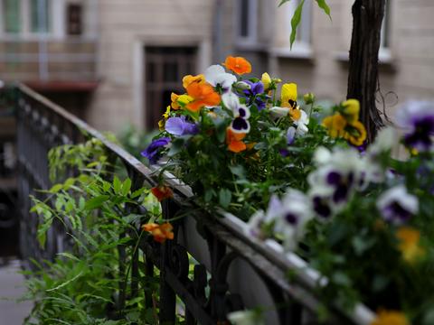 квартира по адресу Независимости ул., 18