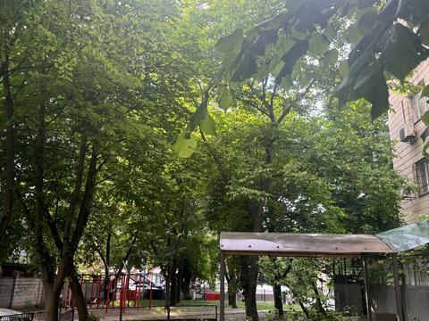 квартира по адресу Соломенская ул., 22