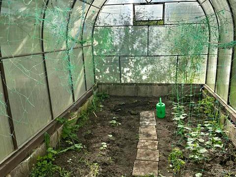 дом по адресу Гвардейский пер., 12