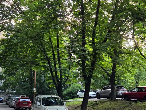 квартира за адресою Берестейський просп. (Перемоги), 60