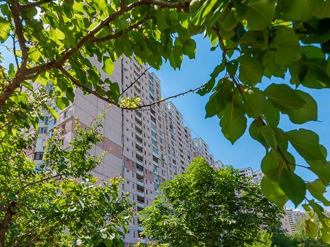 квартира по адресу Олены Пчилки ул., 4