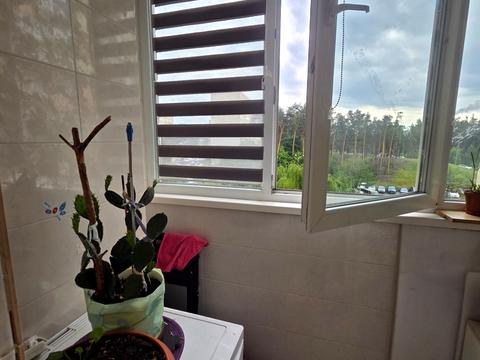 квартира по адресу Строителей ул., 13