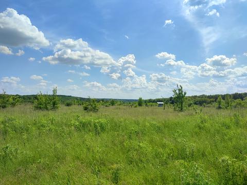 ділянка за адресою Вінниця, масив Поляна