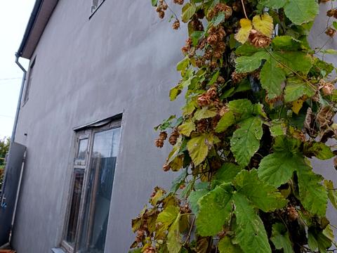 дом по адресу Черноморский 10-й, 5