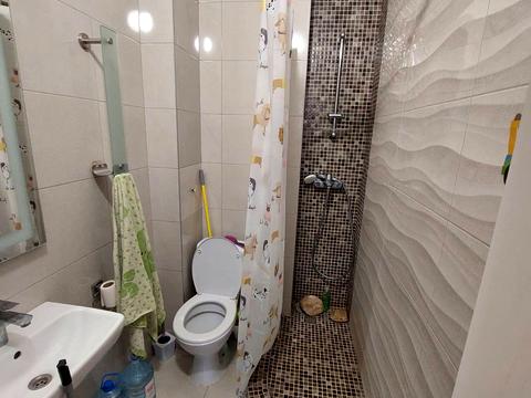 квартира по адресу Дача Ковалевского ул., 121 к1