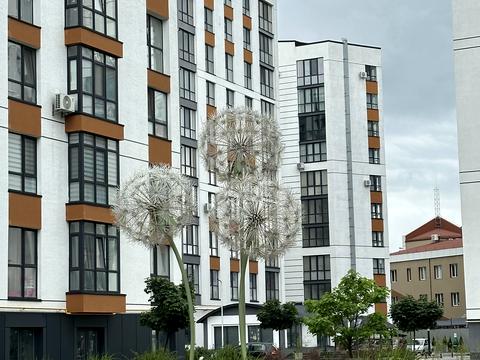 квартира за адресою Гетьмана Мазепи вул., 164, к2