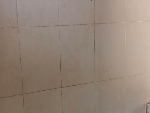 дом по адресу Владимирская ул.